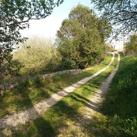 Trulli Di Puglia - In Valle D'itria