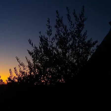 Trulli Di Puglia - In Valle D'itria Holiday home Martina Franca