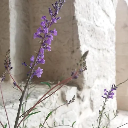 Trulli Di Puglia - In Valle D'itria