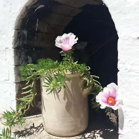 Trulli Di Puglia - In Valle D'itria Holiday home